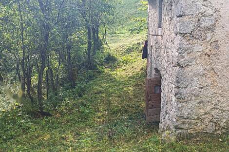 Локовец, дом.: 17