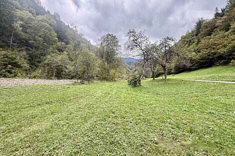 Жильё, расположенное в Любно-об-Савине: 8