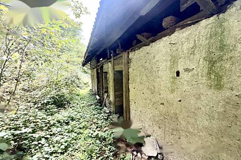 Жильё, расположенное в Любно-об-Савине: 17