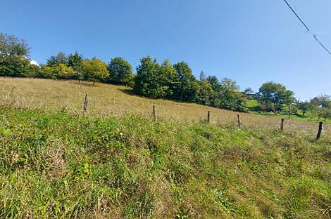 Особняк, Златече, У Новой Церкви: 15