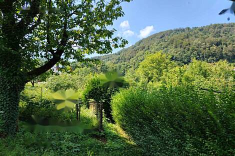 Помещение, Храстник: 15