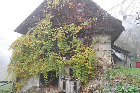 Дом, Шентвишка Гора, Оталеж: 13