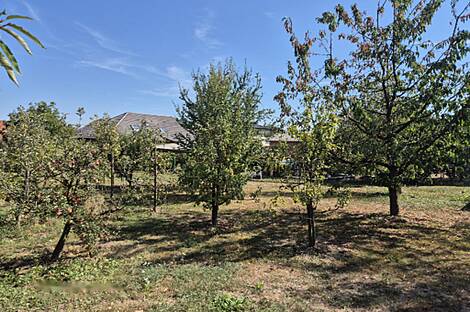 Жилище Зенковцы: 26