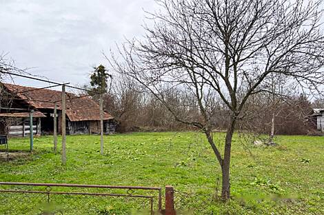 Петишовци, дом: 5