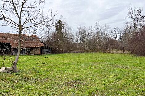 Петишовци, дом: 6