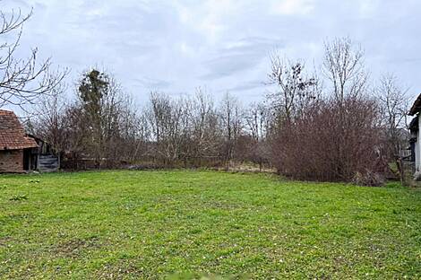 Петишовци, дом: 8