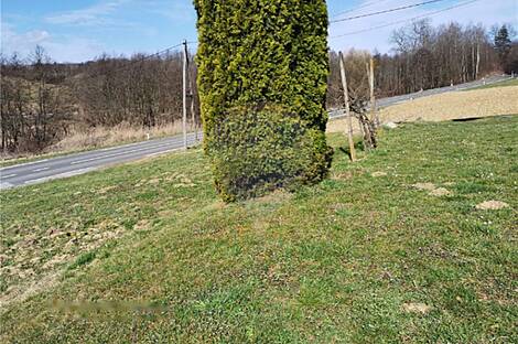 Жилище, Ивяньковцы: 25