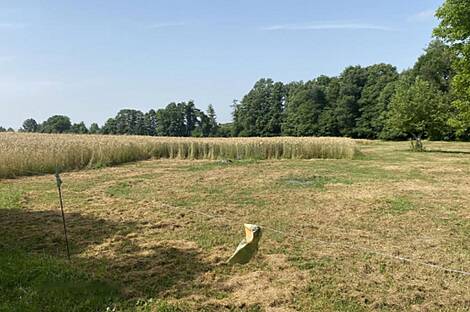 Здание, Лопершицы, окрестности Орможа: 14