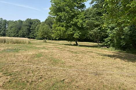 Здание, Лопершицы, окрестности Орможа: 15