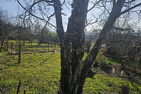 Дом в деревне при Добове: 7