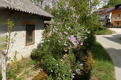 Жилище в Церов Лог: 6