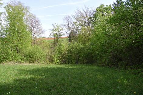 Жилище в Церов Лог: 9