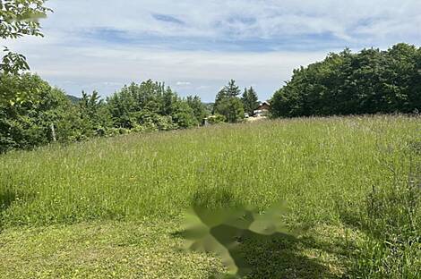 Жилище Родни Верх: 2