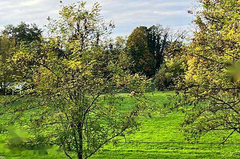 Здание у реки Крка: 2