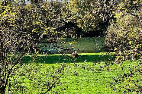 Здание у реки Крка: 30