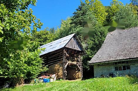 Жилище, Добрава: 4