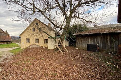 Жилище в Ореховце: 3