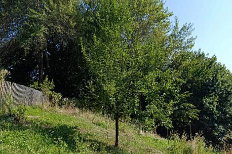 Квартира, Новая Гора, 18Б: 2