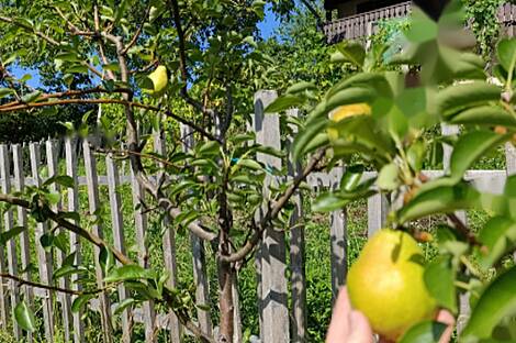 Квартира, Новая Гора, 18Б: 6