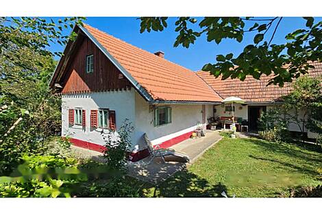 Глобоковский дом: 1