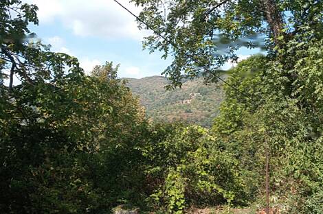 Квартира, Лиг, Фили.: 16