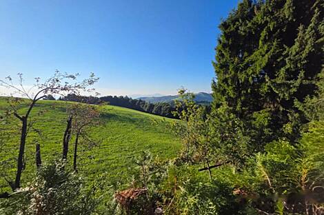 Дом, Планица: 6