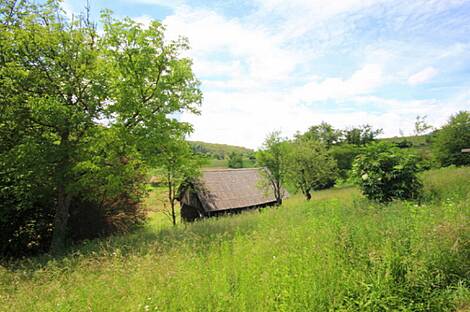 Дом, Копривница, Армия: 2