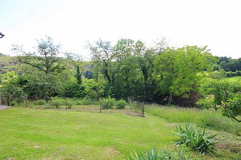 Дом, Копривница, Армия: 19