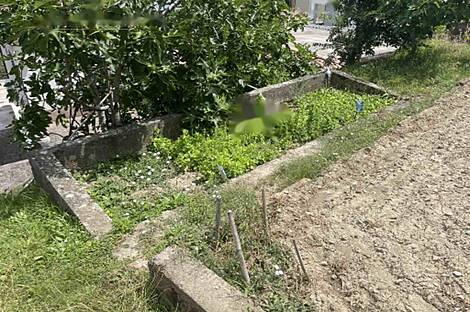 Дом в Копере Семеделе: 28