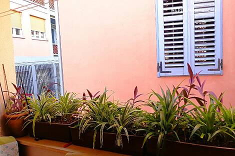 Копер, дом: 25