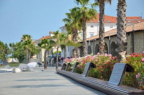 Копер, дом: 29