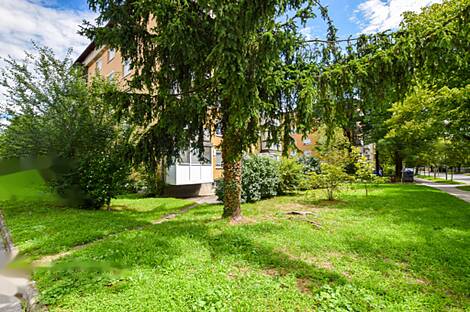 Трехкомнатная квартира в Белиграде.: 1