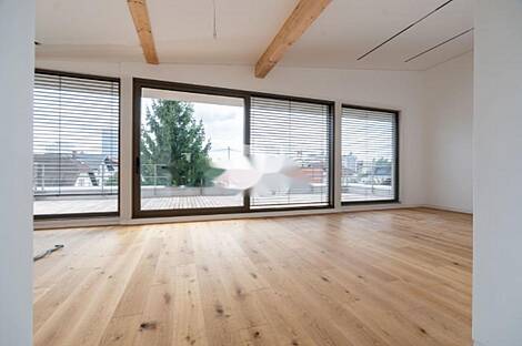 Белиград, квартира с 5 и более комнатами: 3