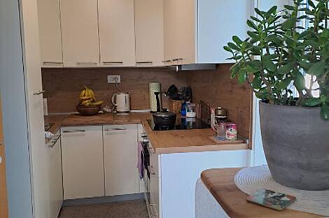 Квартира с тремя комнатами в Моще.: 7