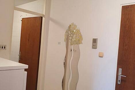 Однокомнатная квартира, Шишка: 3