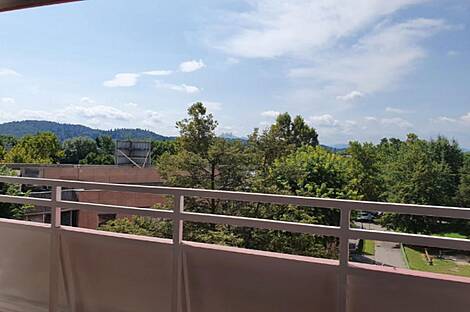 Однокомнатная квартира, Шишка: 5