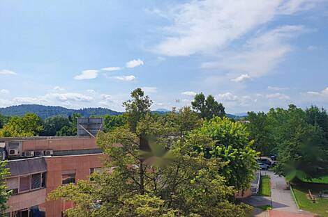 Однокомнатная квартира, Шишка: 6