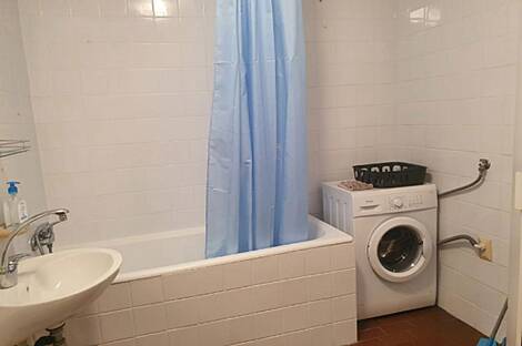 Однокомнатная квартира, Шишка: 8