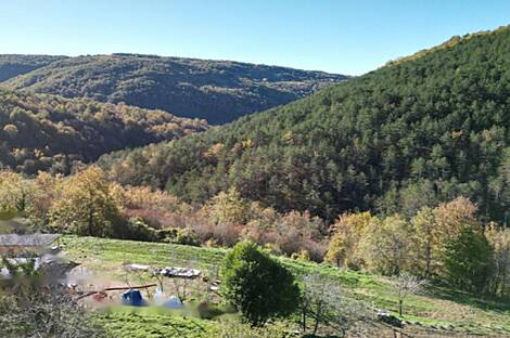 Козловичи, дом: 2