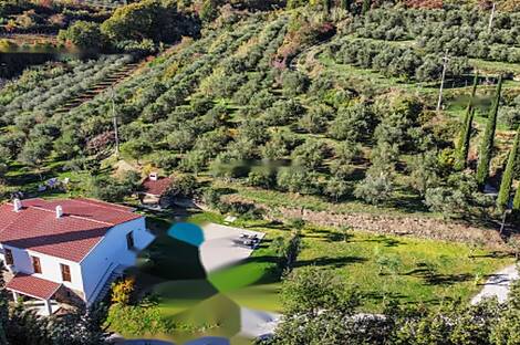 Здание на Новый Копер: 1