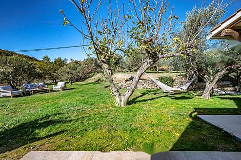 Здание на Новый Копер: 12