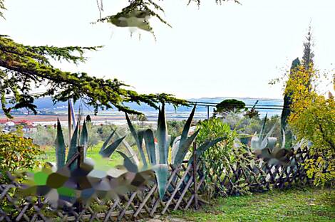 Жилище в Портороже: 15