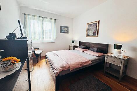 Дом Близнец в Ново Гриньян: 19