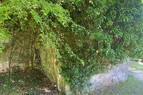 Луция, дом: 5