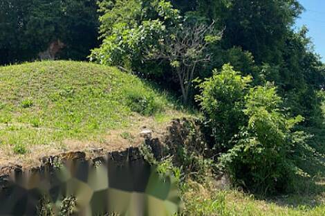 Луция, дом: 7