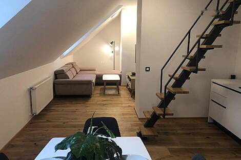 Трехкомнатная квартира в центре Любляны: 7