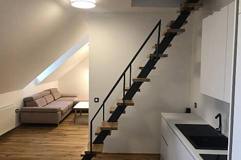 Трехкомнатная квартира в центре Любляны: 11