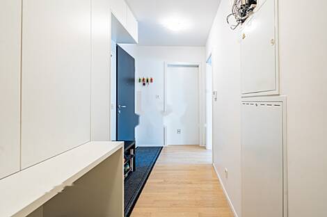 Жилье в центральной части Любляны: 10