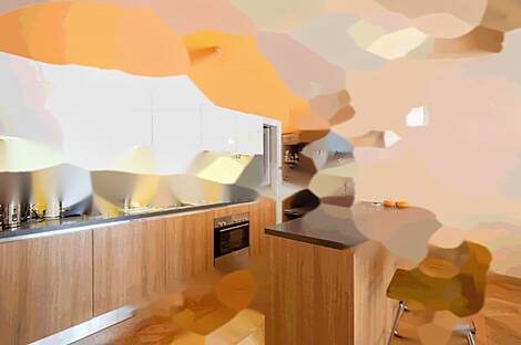 Четырехкомнатная квартира в центре.: 9