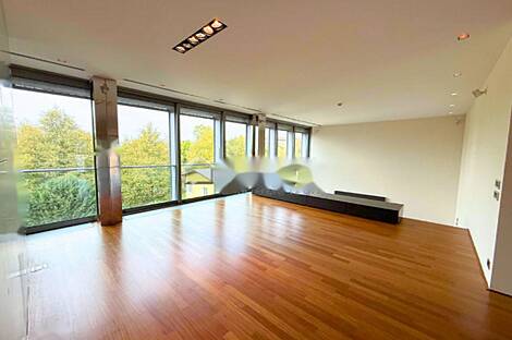 Апартаменты, более 5 комнат, находится в Центральном районе: 3